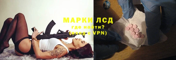 спиды Новодвинск