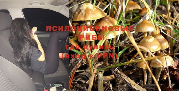 таблы Алексин
